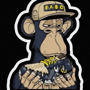 Custom design T-shirts , hoodies, pants ect.